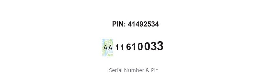 System_Integration_SERIAL_NUMBER & PIN